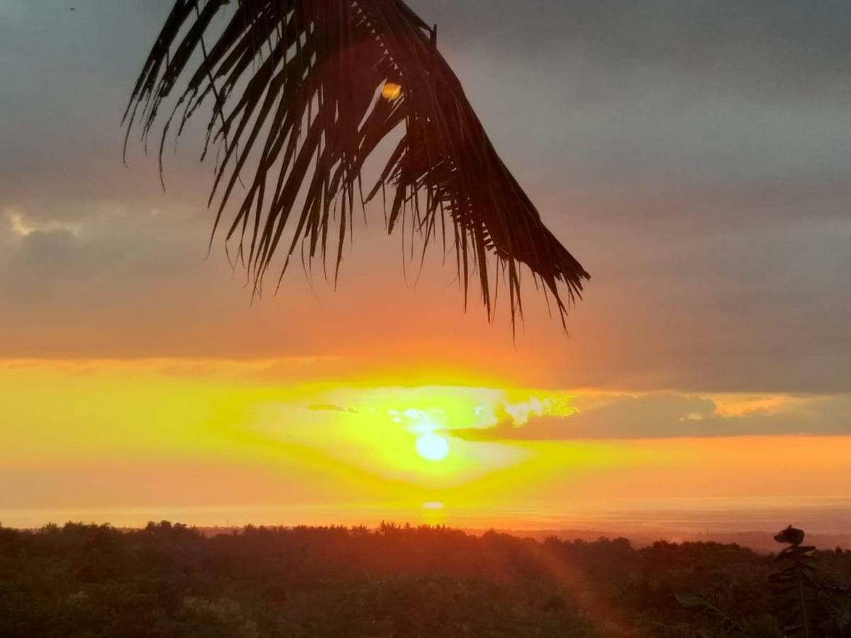 Villa Bantes Mps Kubutambahan  Buitenkant foto